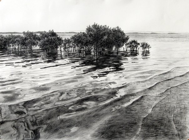 river pencil drawing by mark