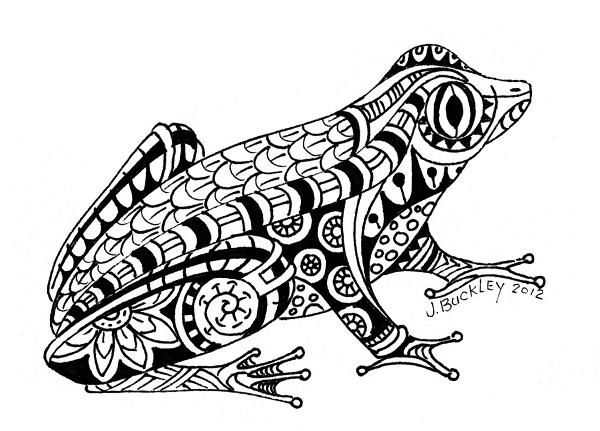 doodle artwork frog