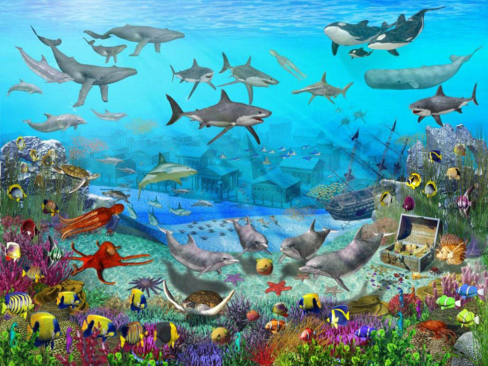 wall mural painting underwater sea