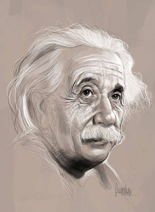 einstein pencil drawings by marco