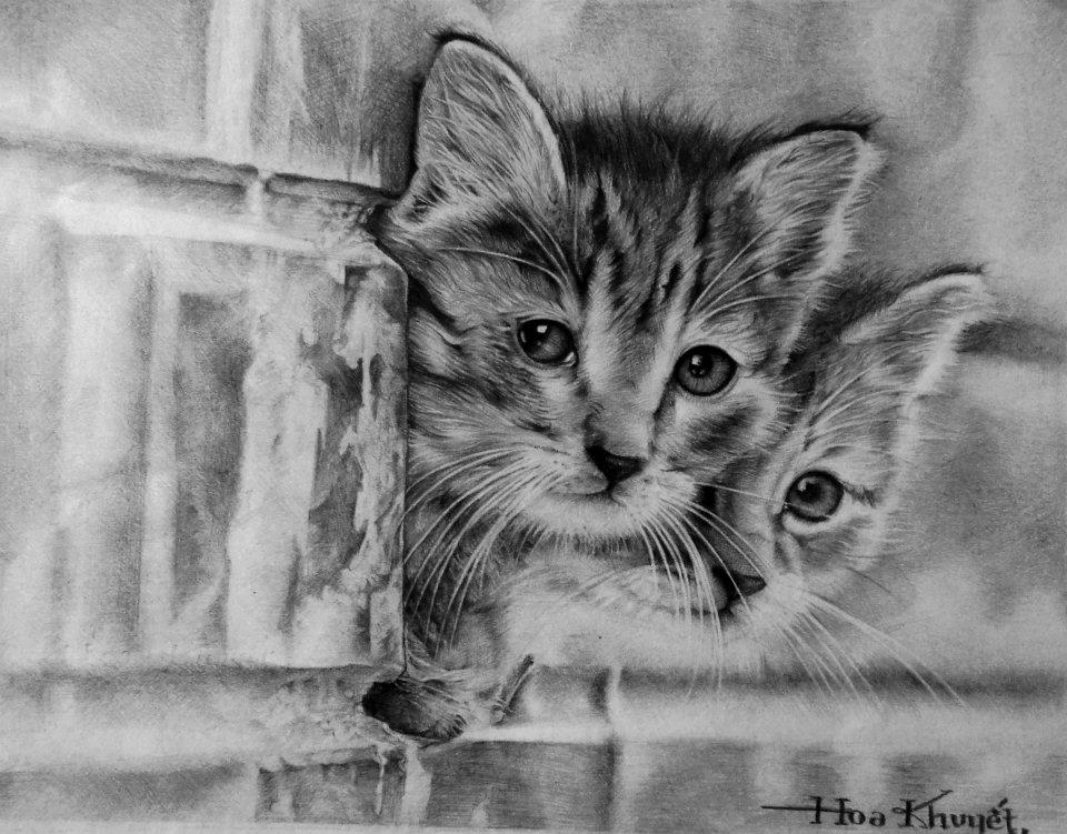 1 cat drawings by gattanday