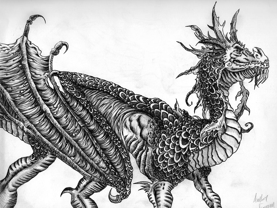 dragon drawings by cinnamonsoldier -  11