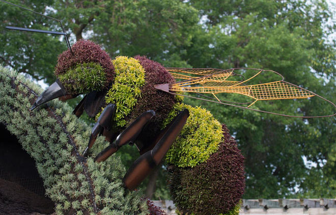 insect garden sculptures
