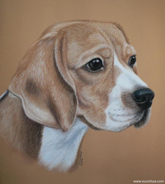 14 dog pastel painting