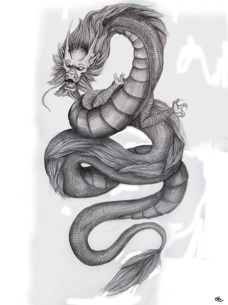 14 dragon drawings by asteer