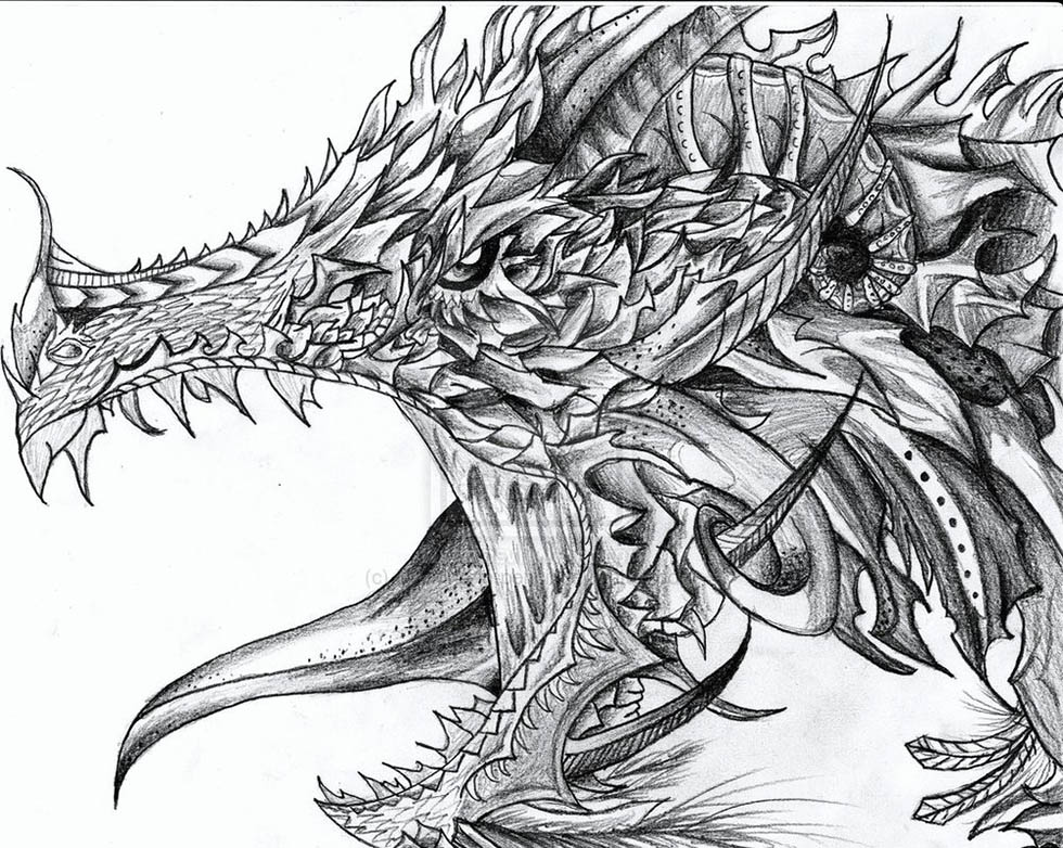 16 dragon drawings