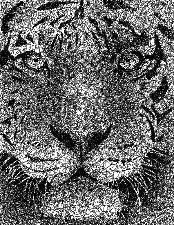 tiger scribbles by nathan shegrud -  18