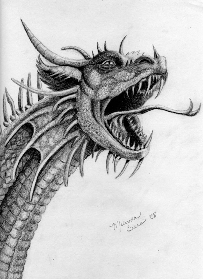 19 dragon drawings by mindsue