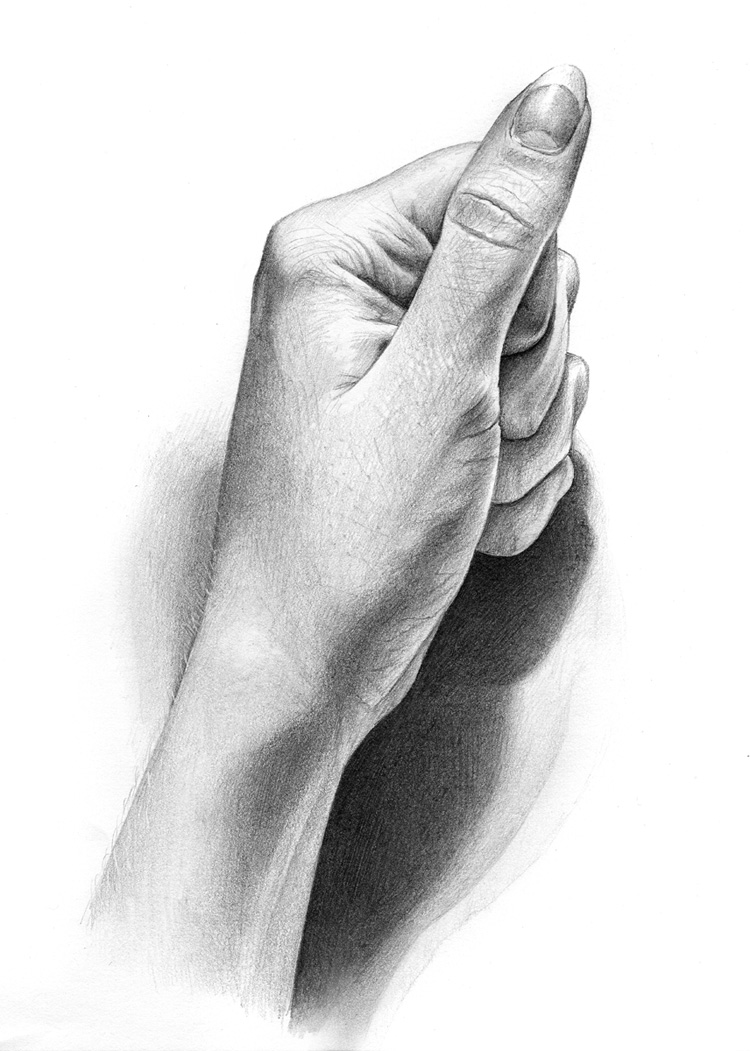 hand drawings by rowen silver -  19
