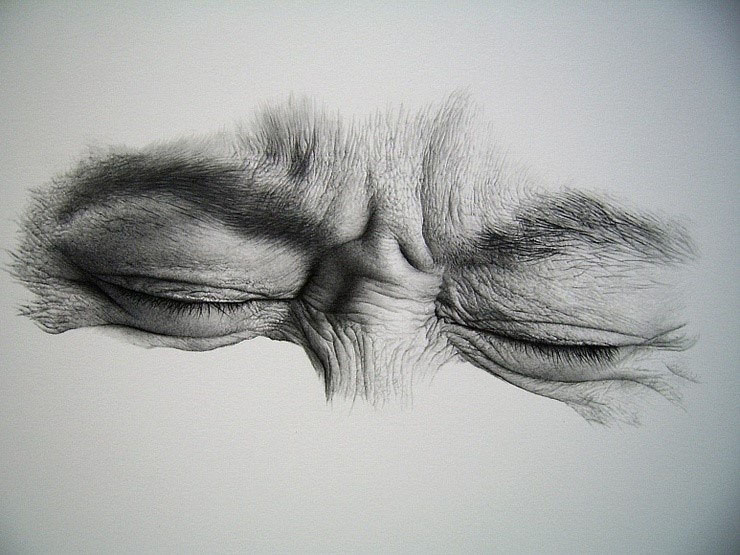 22 amazing drawings by sharppower
