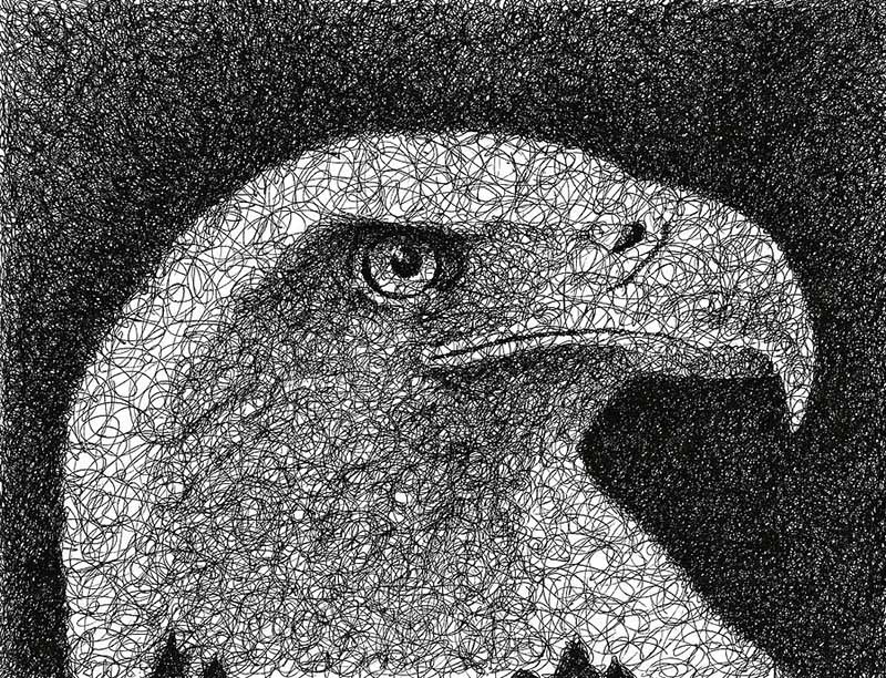 24 eagle scribbles by nathan shegrud