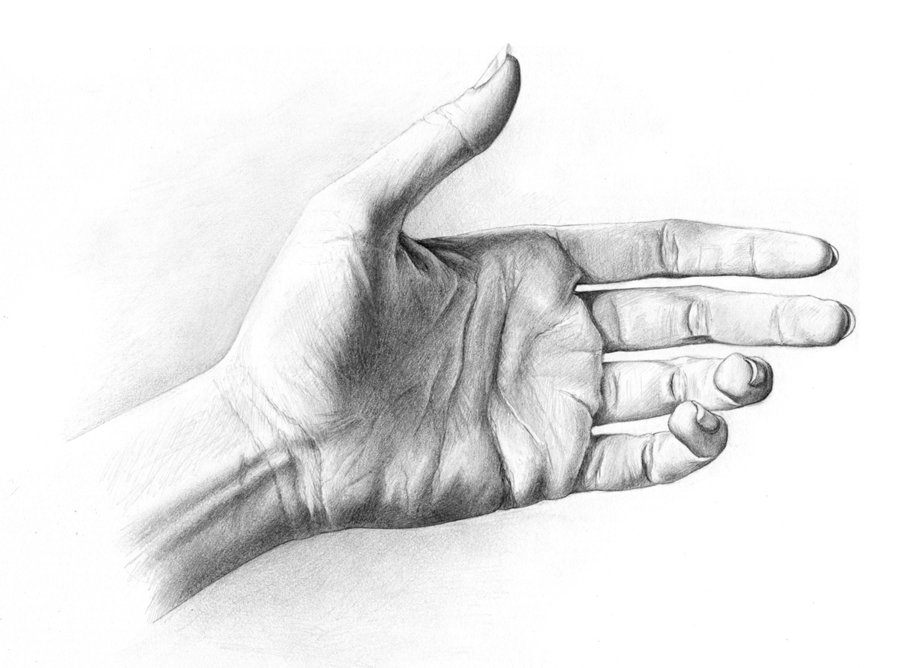 hand drawings by rowen silver -  24