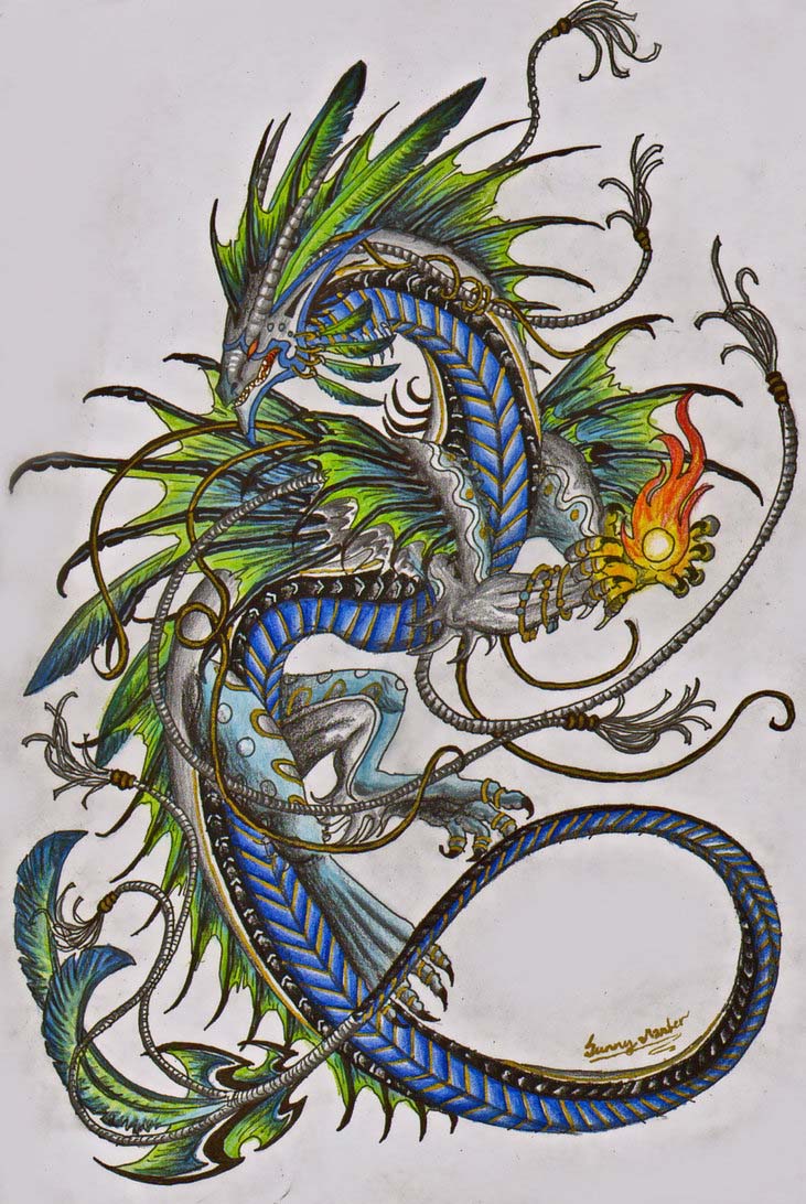 5 dragon drawings