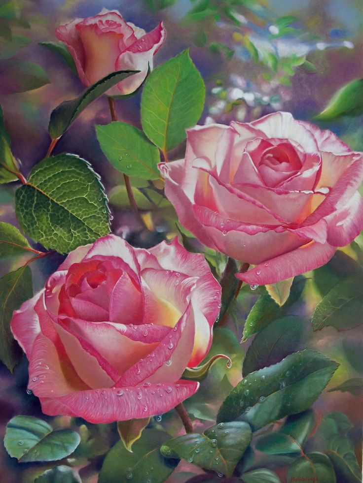 5 rose flower paintings