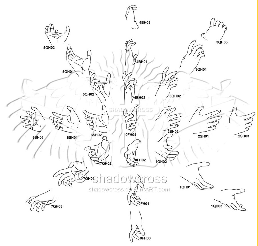 8 hand anatomy drawing