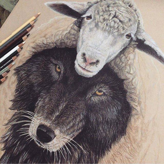 animals color pencil drawing by lonewolf08