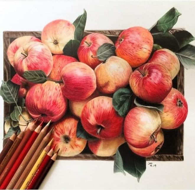 color pencil drawing apple by jennifer morrison